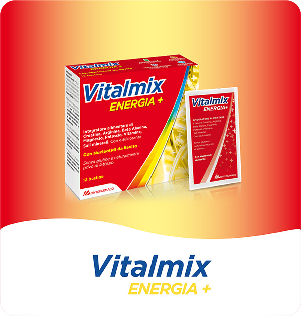 Vitalmix Energia Plus