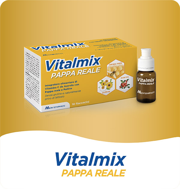 Vitalmix Pappa Reale